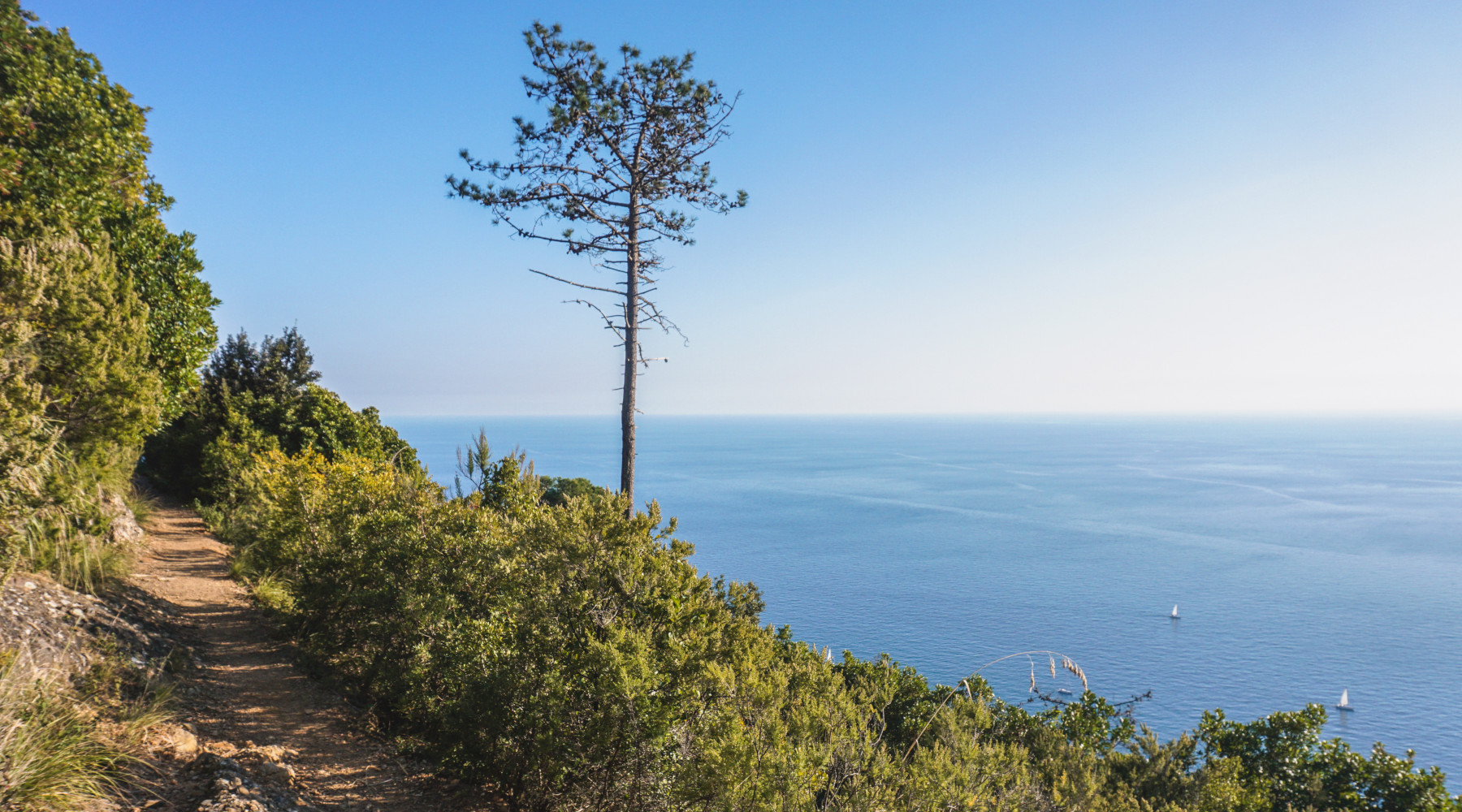 Tar Liguria annulla decreto di perimetrazione del Parco di Portofino Tar Liguria annulla decreto di perimetrazione del Parco di Portofino