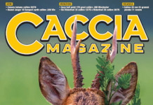 Caccia Magazine luglio 2024 Caccia Magazine luglio 2024 edicola
