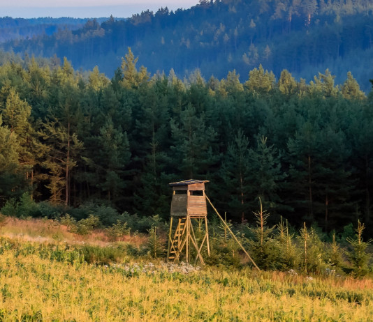 Approvate sei modifiche della legge sulla caccia in Lombardia Approvate sei modifiche della legge sulla caccia in Lombardia: hunting tower, appostamento