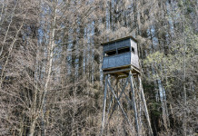 Riprende l’esame del ddl Bruzzone sulla riforma della legge sulla caccia Riprende l’esame del ddl Bruzzone sulla riforma della legge sulla caccia: altana da caccia, hunting tower
