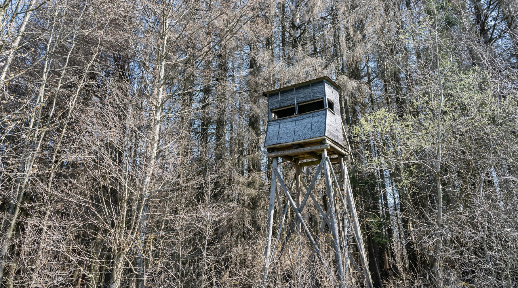 Riprende l’esame del ddl Bruzzone sulla riforma della legge sulla caccia Riprende l’esame del ddl Bruzzone sulla riforma della legge sulla caccia: altana da caccia, hunting tower