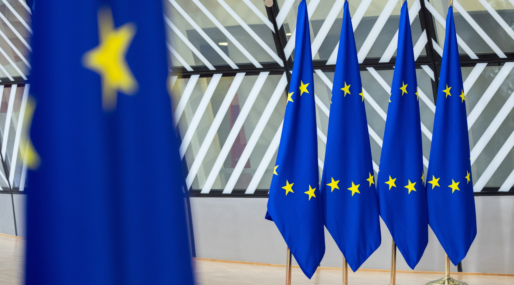 Indiscrezione della Lav sulla risposta del governo alla procedura d’infrazione sulla caccia Indiscrezione della Lav sulla risposta del governo alla procedura d’infrazione sulla caccia: bandiere Unione europea