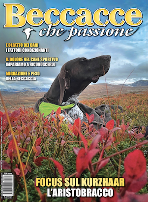 Beccacce che Passione numero 4 2024 vi aspetta in edicola beccacce che passione numero 4 2024