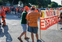 Associazione cultura rurale: «Quando la manifestazione per la riforma della 157/92?» Associazione cultura rurale: «Quando la manifestazione per la riforma della 157/92?»