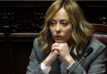 Il mondo della ricerca scrive a Giorgia Meloni in difesa dell’Ispra Il mondo della ricerca scrive a Giorgia Meloni in difesa dell’Ispra