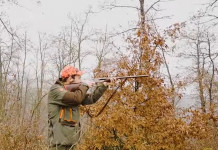A caccia di fagiani e pernici rosse con le munizioni Winchester: il video del test A caccia di fagiani e pernici rosse con le munizioni Winchester: il video del test