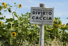 A caccia in un’area protetta in assenza di tabellazione: assolti Cacciarono in area protetta in assenza di tabellazione: assolti: cartello divieto di caccia