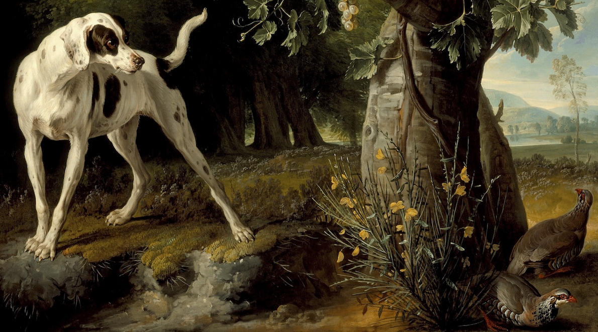 Parole e immagini dell’arte venatoria Parole e immagini dell’arte venatoria