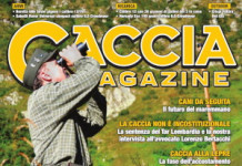 Caccia Magazine gennaio 2025 cover caccia magazine gennaio 2025