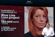 Cabina di regia del mondo venatorio: «Chiarezza su operato Michela Brambilla» Cabina di regia del mondo venatorio «Chiarezza su operato Michela Brambilla»