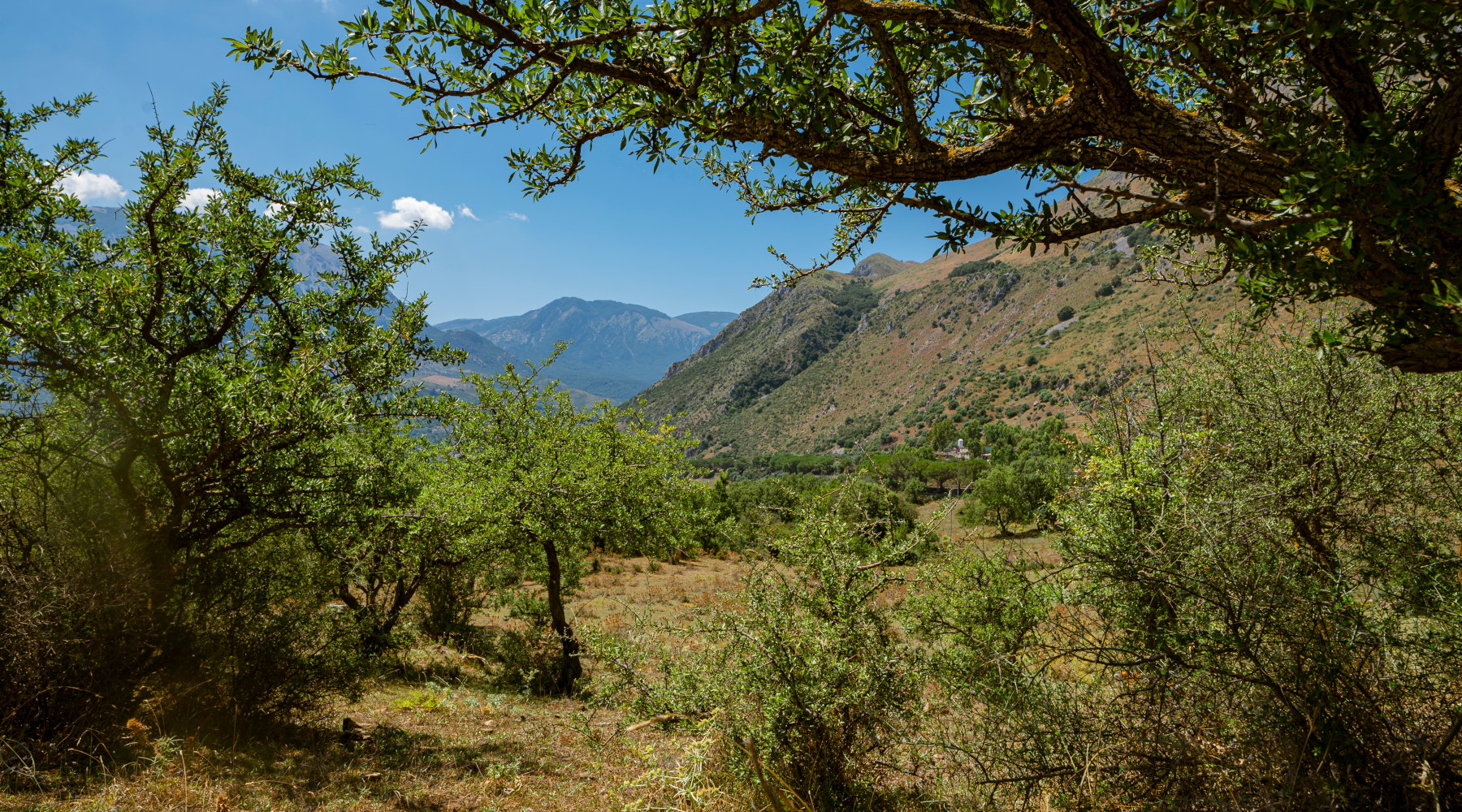 Federcaccia scrive a Regione Sicilia su estensione aree protette Federcaccia scrive a Regione Sicilia su estensione aree protette - Parco delle Madonie
