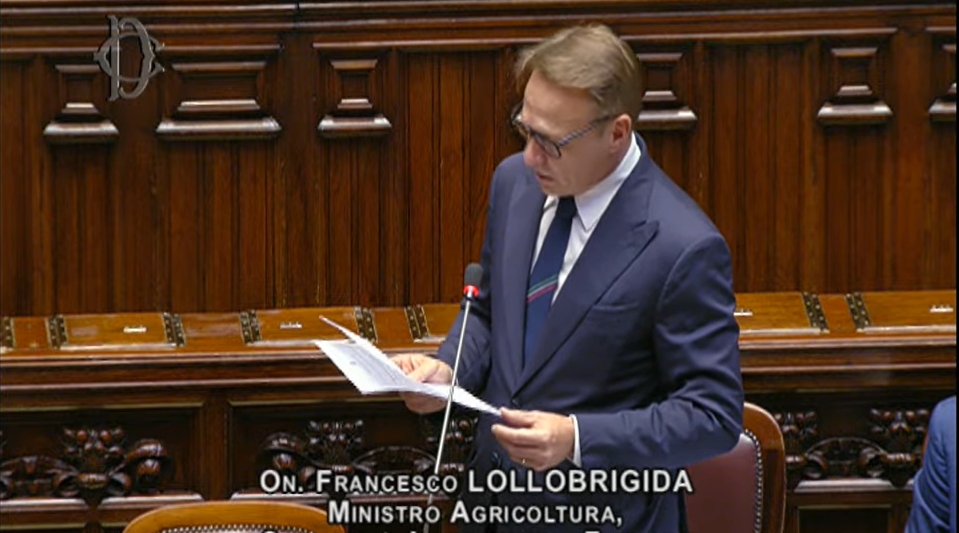 Lollobrigida smentisce le anticipazioni sulla riforma della legge sulla caccia Lollobrigida smentisce le anticipazioni sulla riforma della legge sulla caccia