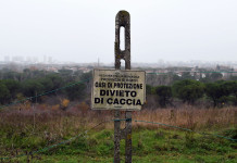 Presentata proposta di legge d’iniziativa popolare per l’abolizione della caccia Presentata proposta di legge d’iniziativa popolare per l’abolizione della caccia