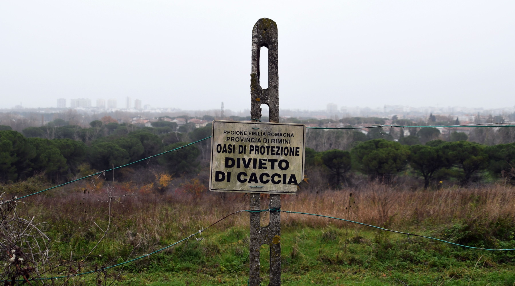 Presentata proposta di legge d’iniziativa popolare per l’abolizione della caccia Presentata proposta di legge d’iniziativa popolare per l’abolizione della caccia