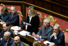 Zanella (Verdi-Sinistra): Lollobrigida rinunci alla riforma della legge sulla caccia Zanella (Verdi-Sinistra): Lollobrigida rinunci alla riforma della legge sulla caccia: governo Meloni