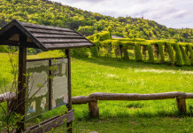 60.000 euro per i roccoli in Lombardia 60.000 euro per i roccoli in Lombardia