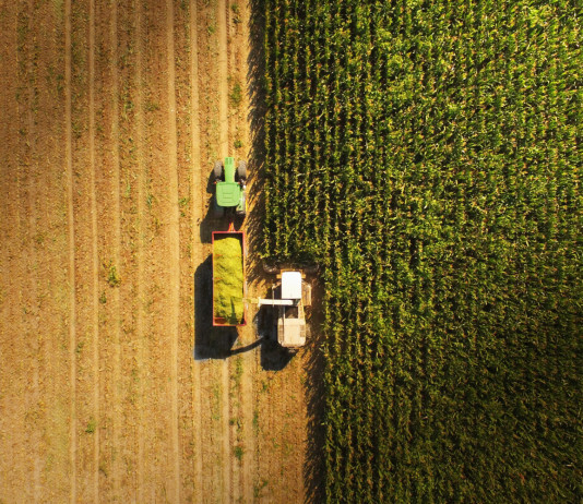 Una e Ab si confrontano sul regolamento europeo per il ripristino degli ambienti naturali Una e Ab si confrontano sul regolamento europeo per il ripristino degli ambienti naturali: dall'alto, agricoltore coltiva campo con trattore