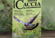 Lo speciale Caccia al colombaccio in anteprima nello shop online Lo speciale Caccia al colombaccio in anteprima nello shop online