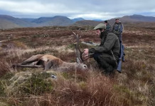 Caccia al cervo nelle Highlands scozzesi: il video Caccia al cervo nelle Highlands scozzesi video