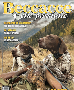 Beccacce che Passione numero 1 2026 vi aspetta in edicola Beccacce che Passione numero 1 2026