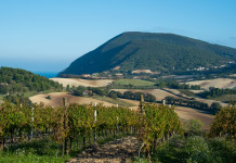 Urca Marche firma convenzione per gestione del centro di sosta nel Parco del Conero Urca Marche firma convenzione per gestione del centro di sosta nel Parco del Conero