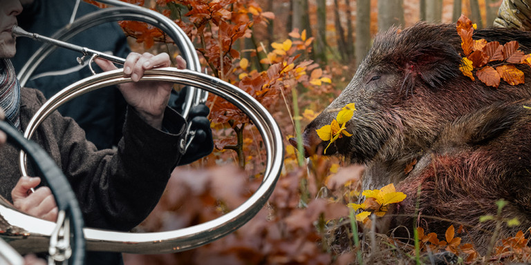Caccia al cinghiale, al cervo, al muflone e al capriolo video drückjagd