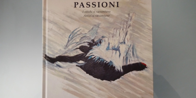 Passioni 6