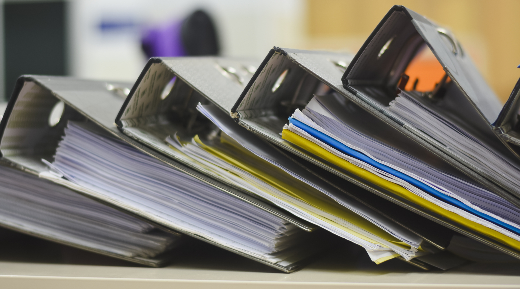 Venti settimane senza votare gli emendamenti alla riforma della legge sulla caccia Venti settimane senza votare gli emendamenti alla riforma della legge sulla caccia