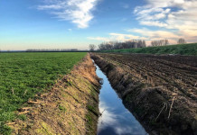 Bruzzone (Lega) interroga governo su regolamento sul ripristino della natura Bruzzone (Lega) interroga governo su regolamento sul ripristino della natura
