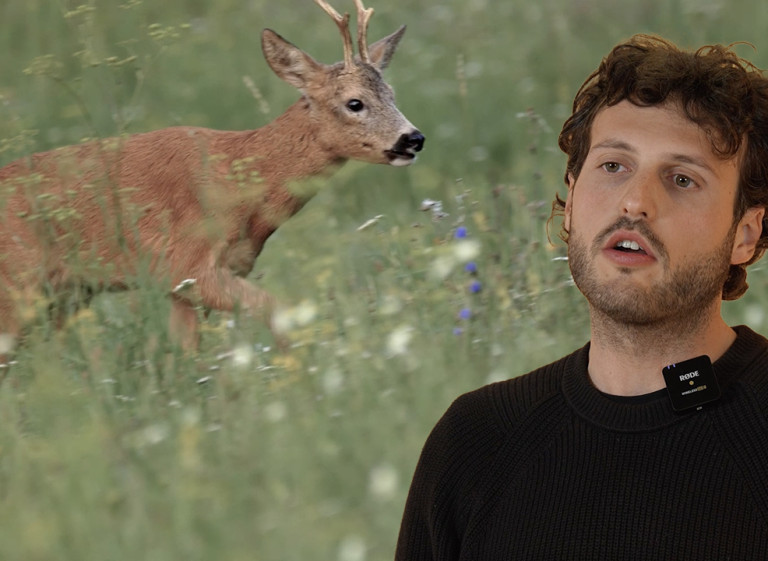 I calibri per la caccia al capriolo video della Caccia Magazine Academy