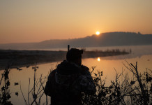 Animalisti e ambientalisti: «Sospendere attività comitato faunistico-venatorio» Animalisti e ambientalisti «Sospendere attività comitato faunistico-venatorio» - cacciatore di spalle in zona umida