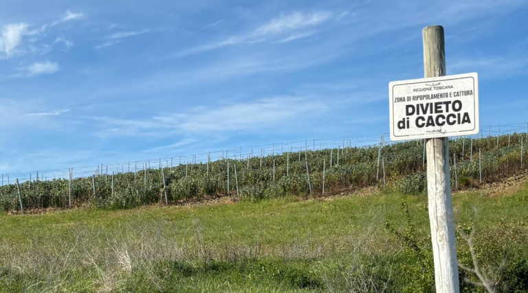 Amidei (Fratelli d’Italia) divieto di caccia entro trecento metri da agriturismi - cartello divieto di caccia