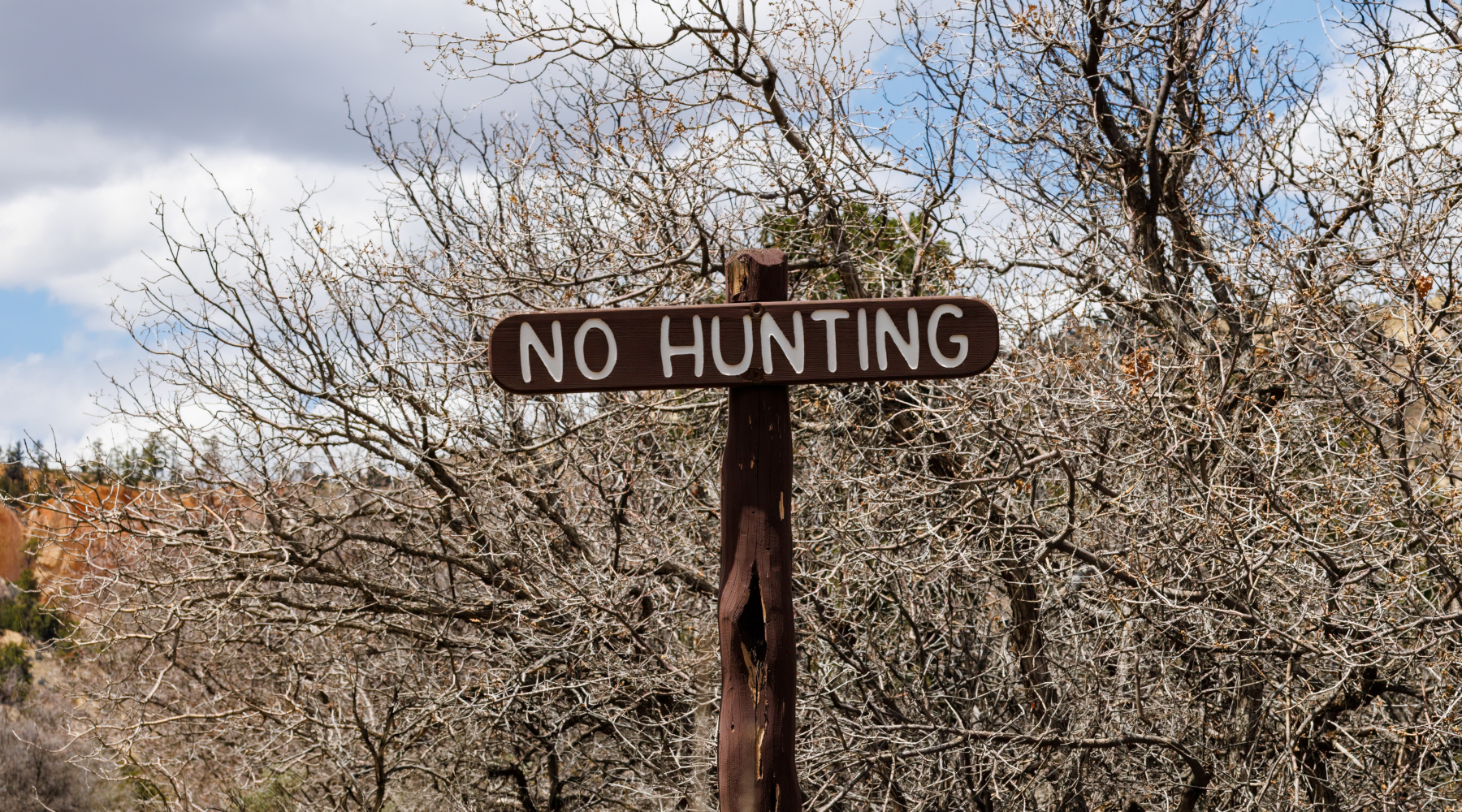Per l’Enpa è «incomprensibile» accelerare sulla riforma della legge sulla caccia Per l’Enpa è «incomprensibile» accelerare sulla riforma della legge sulla caccia - cartello no hunting