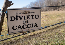Per la Lac «gli italiani odiano la caccia» Per la Lac «gli italiani odiano la caccia»