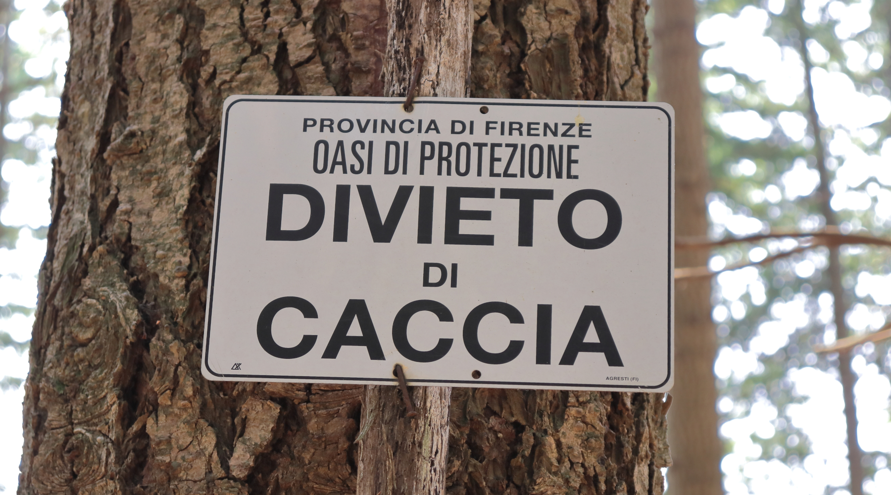 Buconi (Federcaccia) inaccettabile la lettera da Bruxelles sulla riforma della 15792 Buconi (Federcaccia) inaccettabile la lettera da Bruxelles sulla riforma della 15792 - cartello "divieto di caccia" in oasi di protezione