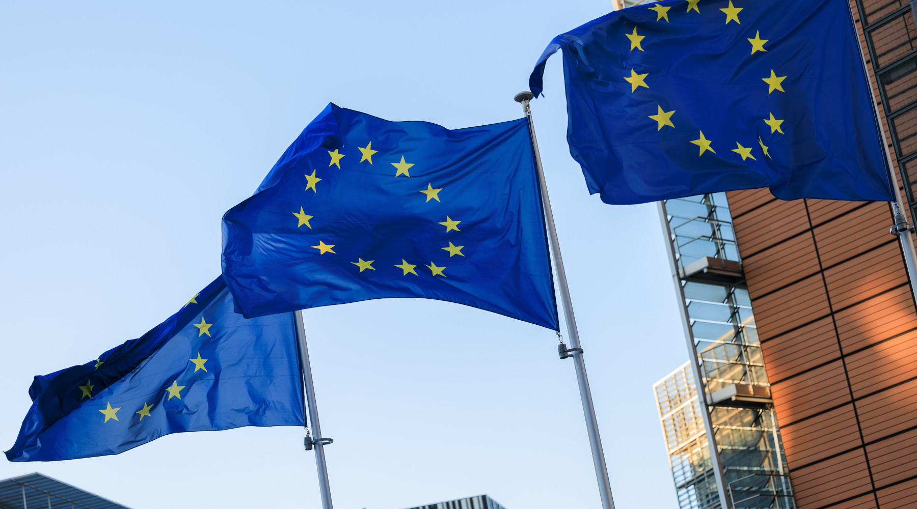 Critiche riservate della Commissione europea alla riforma della legge sulla caccia Critiche riservate della Commissione europea alla riforma della legge sulla caccia