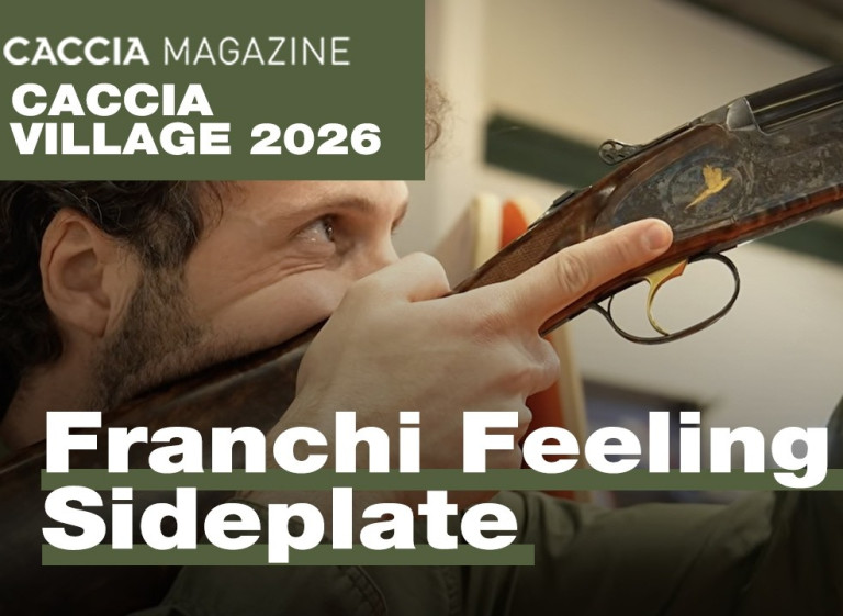 Franchi Feeling Sideplate - Caccia Village 2026