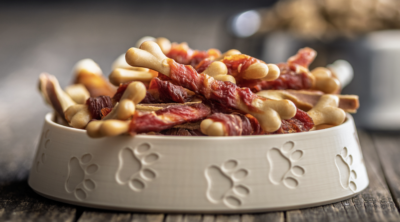 È pronto in ciotola manuale di cucina casalinga per cani e gatti È pronto in ciotola manuale di cucina casalinga per cani e gatti